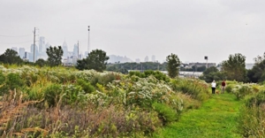 Bartram’s Garden at the Library